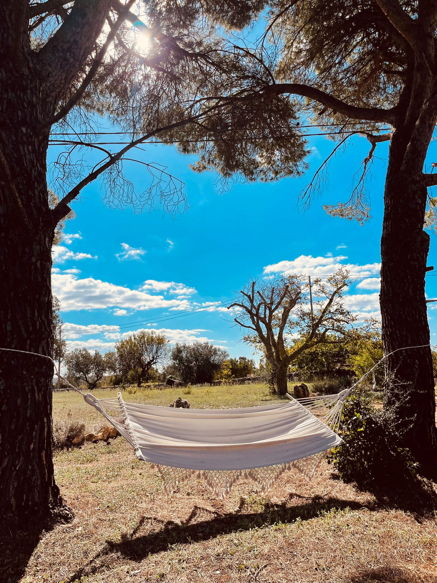 La Casetta dei Pini | Tutti al Trullo