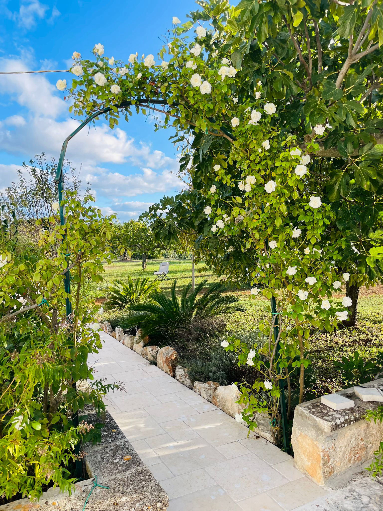 La Casetta dei Pini | Tutti al Trullo