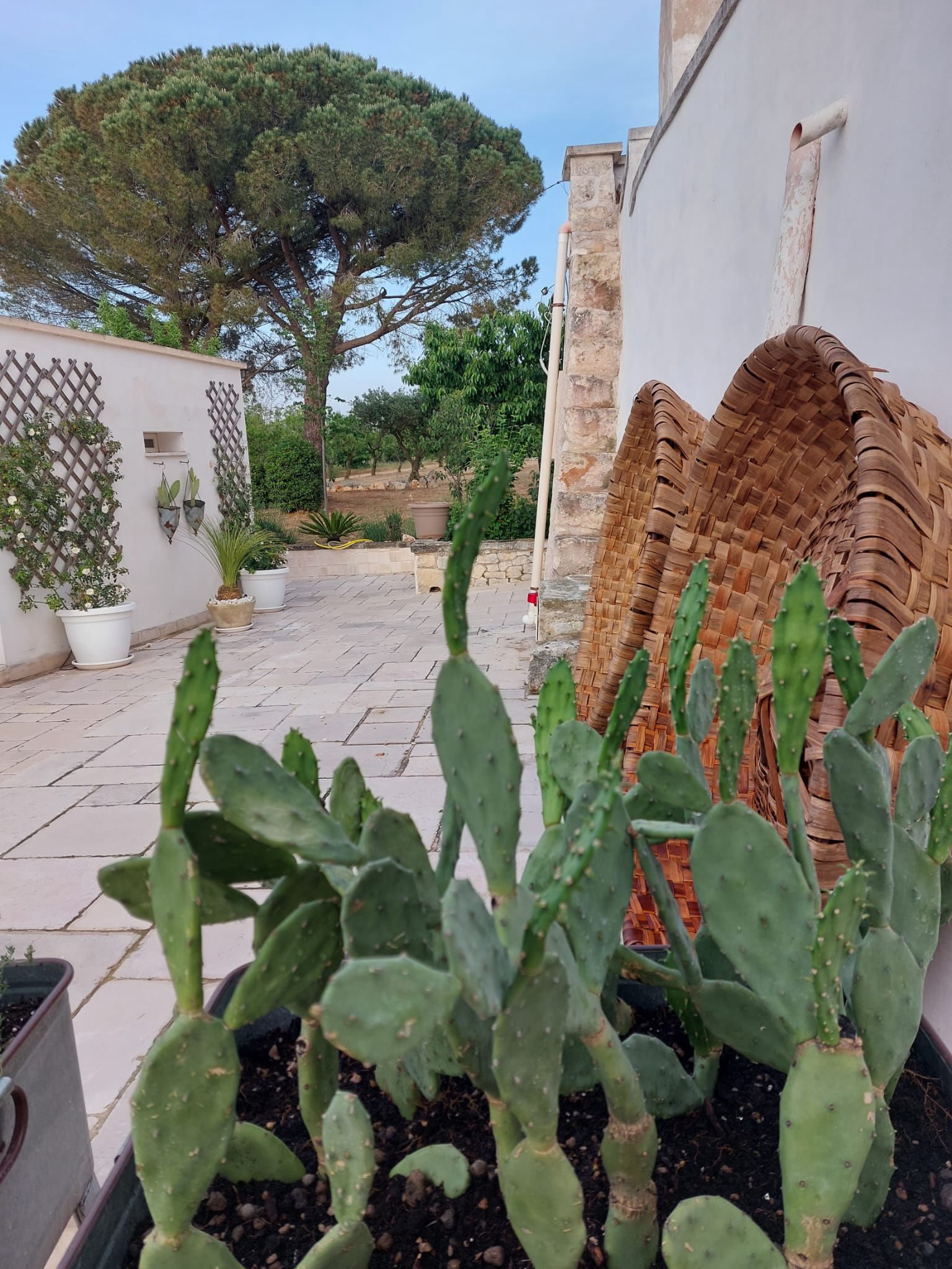 La Casetta dei Pini | Tutti al Trullo