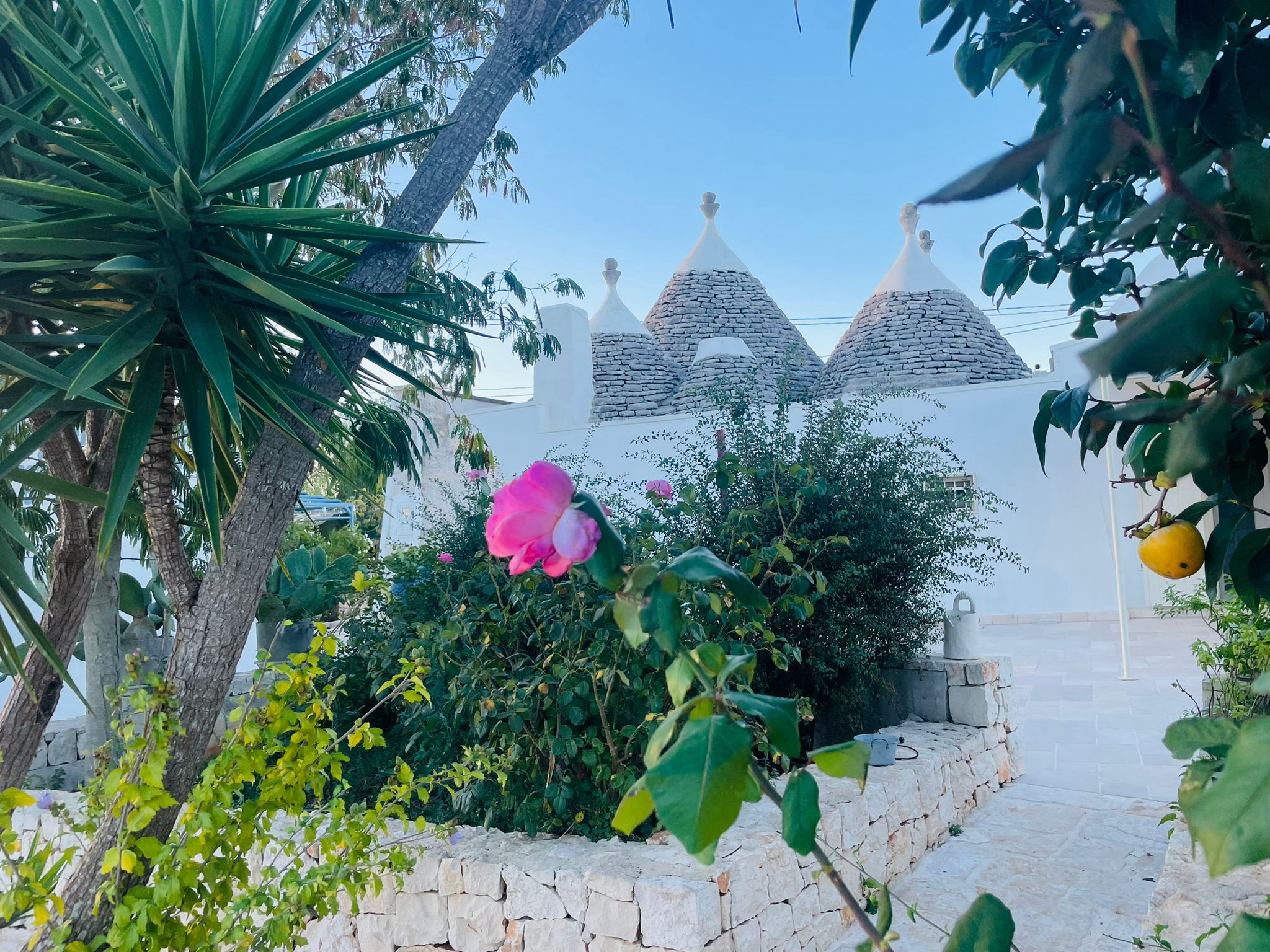 Le Lamie | Tutti al Trullo